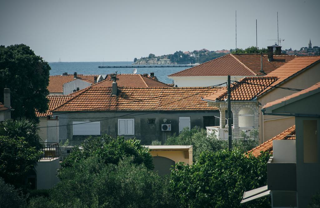 Apartment Dominik بيبينيا المظهر الخارجي الصورة
